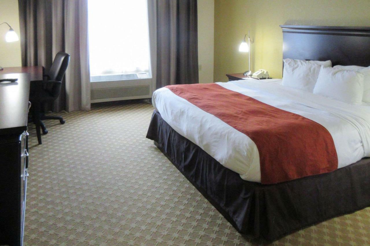 Quality Inn & Suites Alexandria Dış mekan fotoğraf