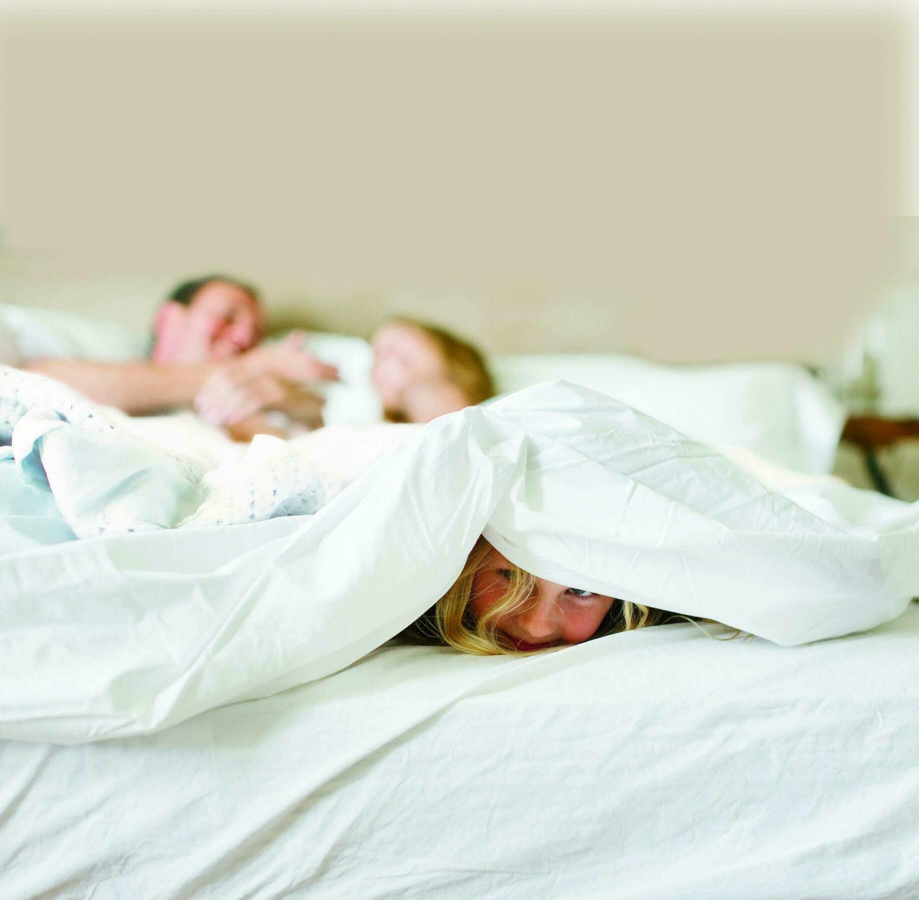 Quality Inn & Suites Alexandria Dış mekan fotoğraf